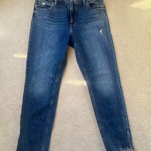 Goldie Blue Medium Wash Slim Straight Jeans with Zipper Detail – Women’s Size 14